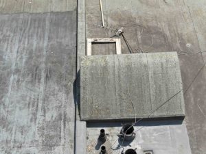 Drones Access Hard to REach Areas - Surveys