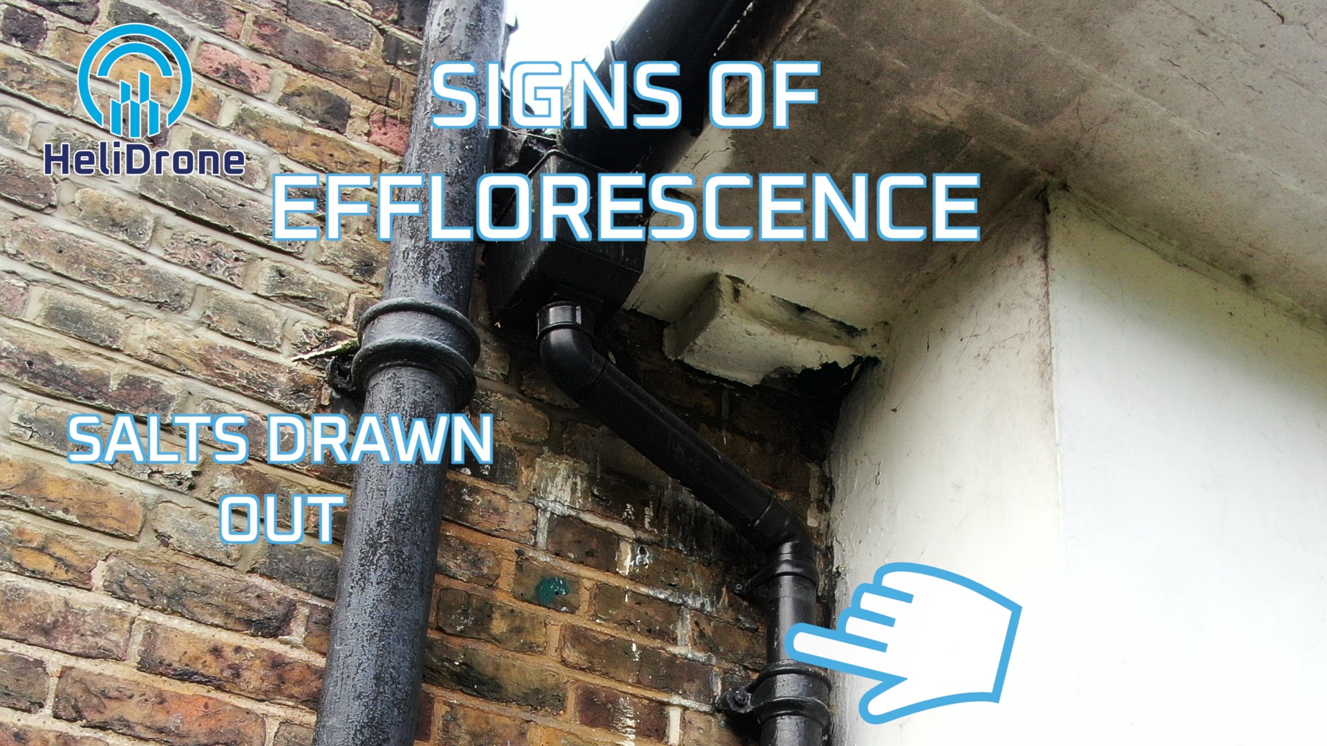 efflorescence and salts masonry